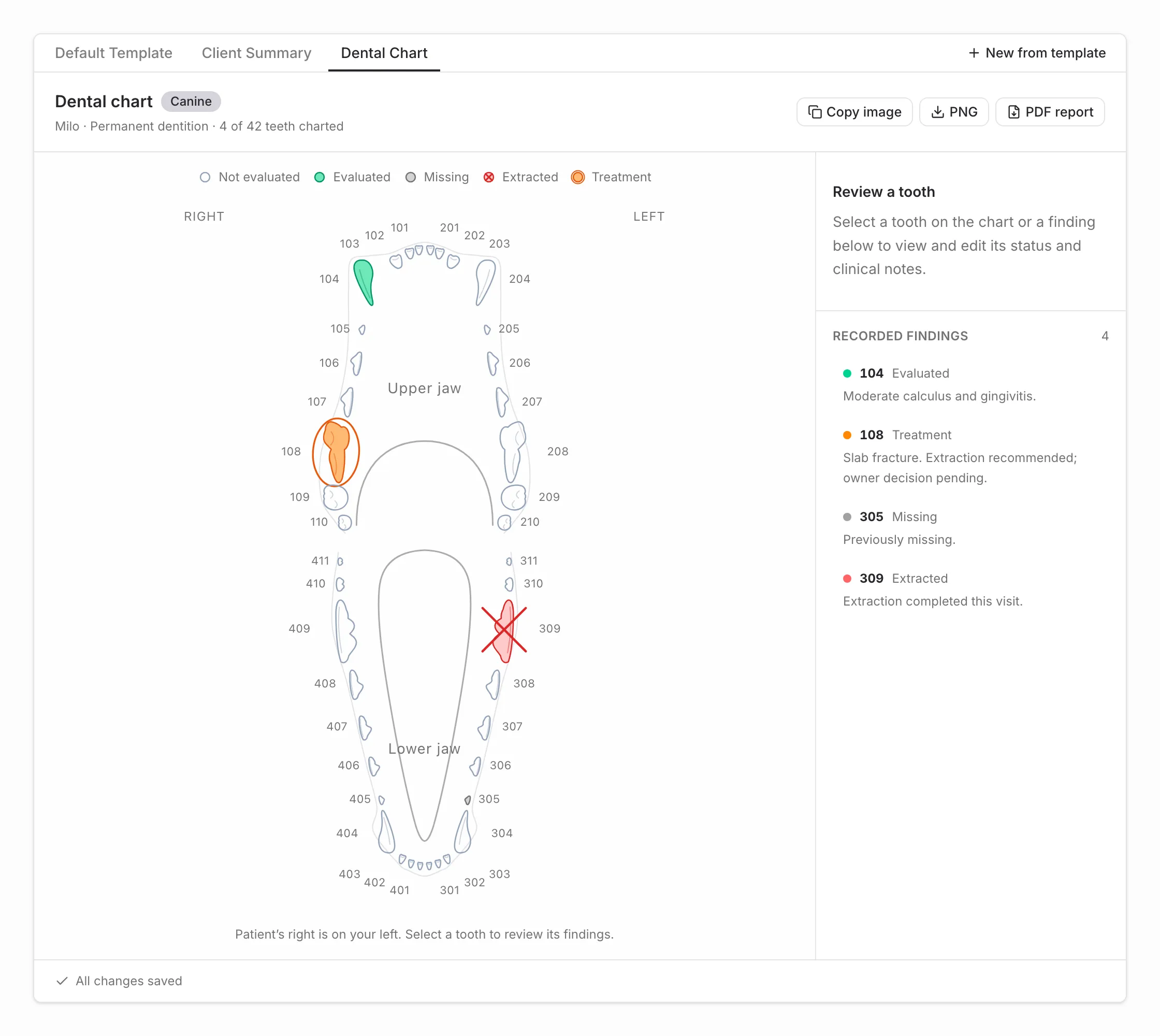 Same recording. Notes and a dental chart.
