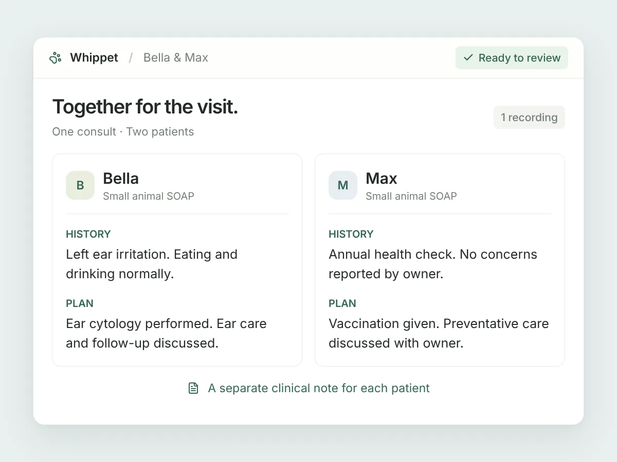 Illustration of Bella and Max’s separate clinical notes, generated from one recording within the same consult.