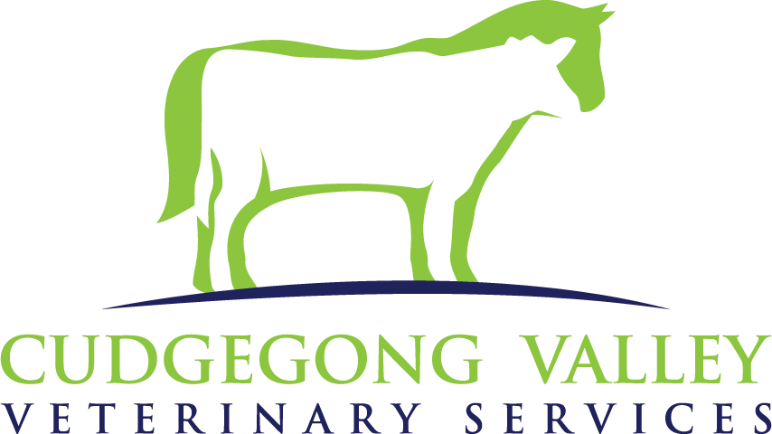 Cudgegong Valley Veterinary Services
