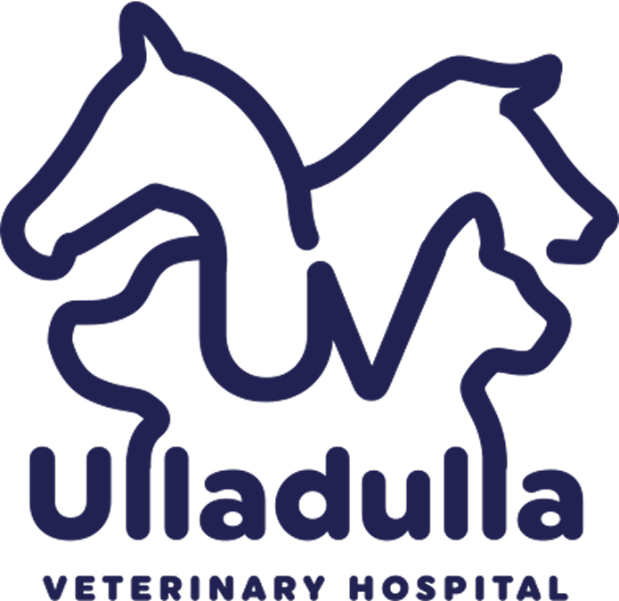 Ulladulla Vets